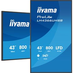 iiyama ProLite monitor LH4366UHSB-B1AG, 43"; IPS Professional Digital Signage display with 24/7, 4K UHD and 800cd high brightness, Android OS thumbnail 2